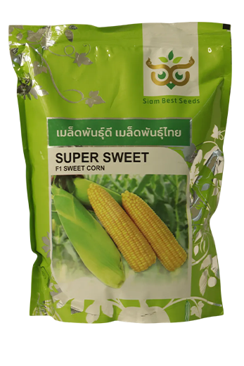 Sweetcorn Saim Super Sweet Seeds for High Yield Farming – Dhartibeej
