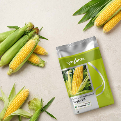 Sweetcorn Syn Sugar -75 Seeds Online | Dhartibeej