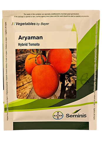 Tomato Monsanto Aryaman Seeds Online India – Dhartibeej
