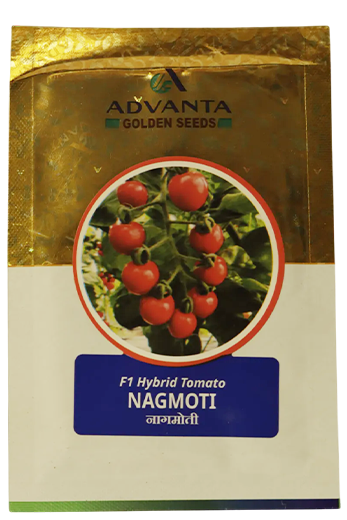 Tomato Nagmoti Seeds Online India – Dhartibeej
