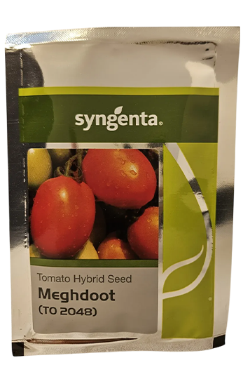 Buy Tomato Syn Megdhoot 2048 Seeds Online in India – Dhartibeej
