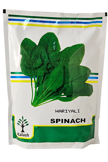 Buy Palak Kalash Hariyali Seeds Online in India – Dhartibeej