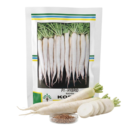 Radish Kalash Koren Seeds Online | Dhartibeej