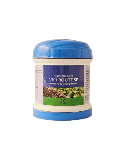 Vici Routz SP Fertilizer for Crop Growth – Dhartibeej
