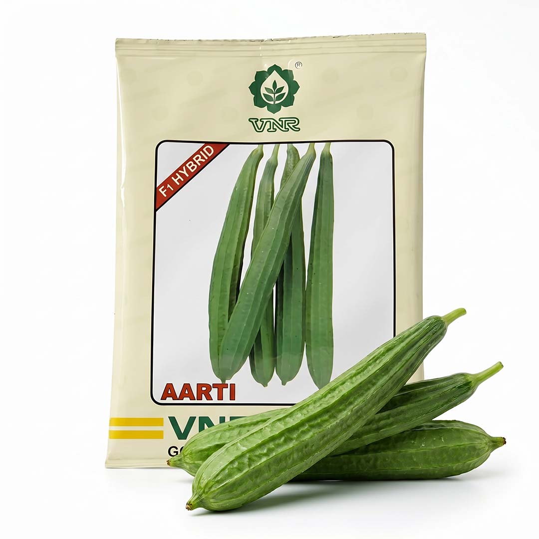 Ridgegourd Vnr Aarti