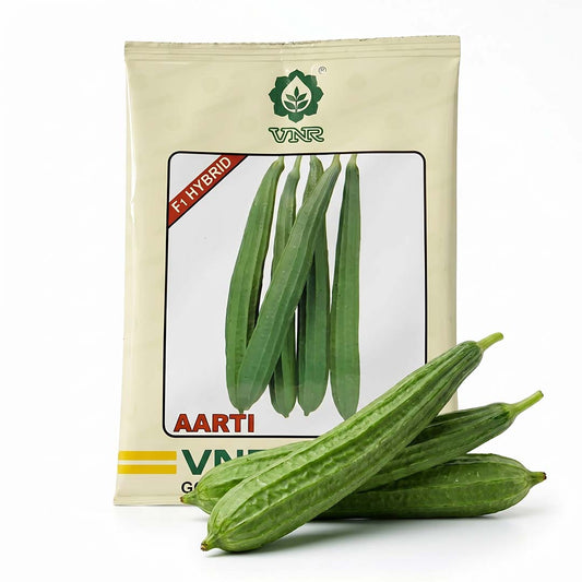 Ridgegourd Vnr Aarti Seeds for High Yield Farming | Dhartibeej