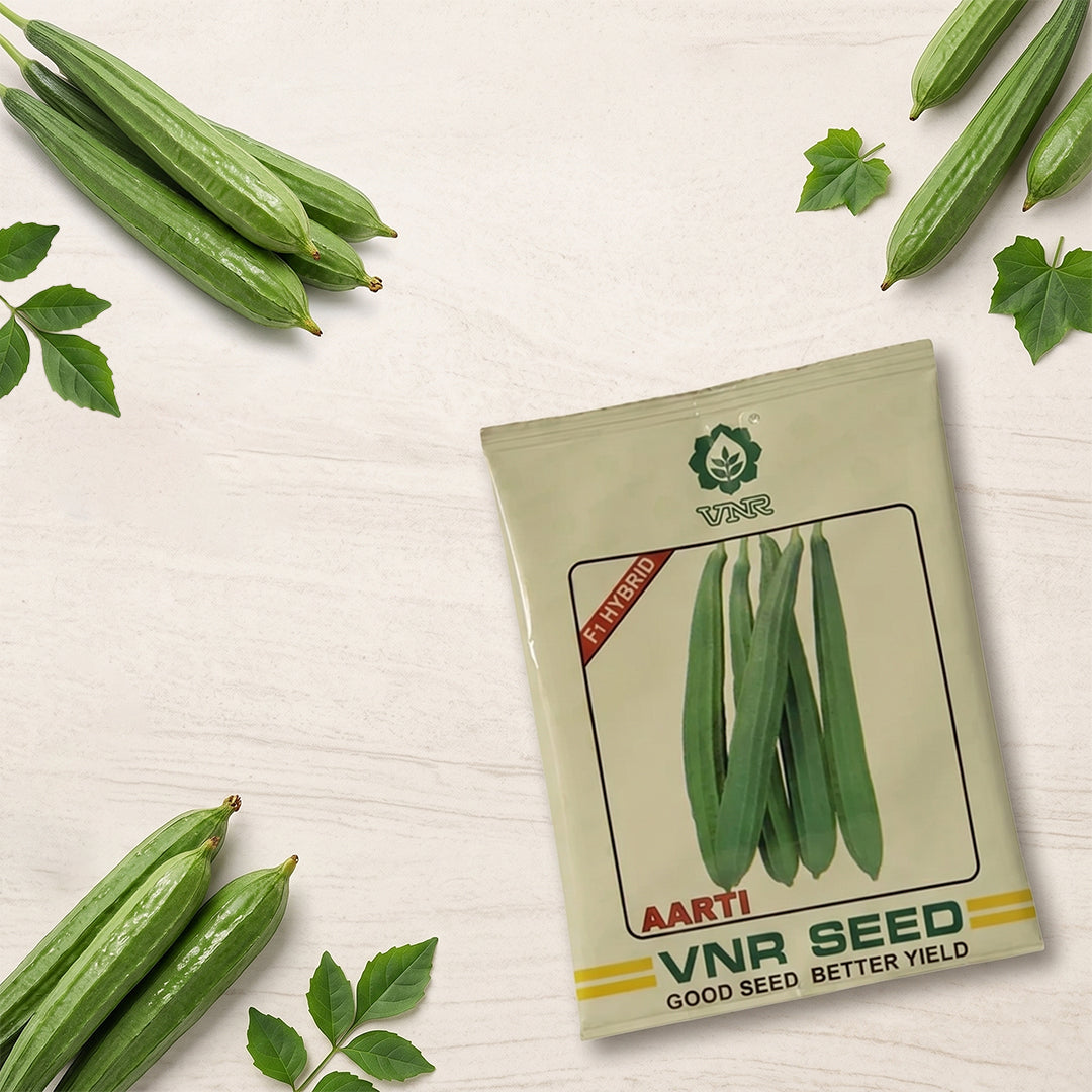 Ridgegourd Vnr Aarti Seeds for High Yield Farming | Dhartibeej