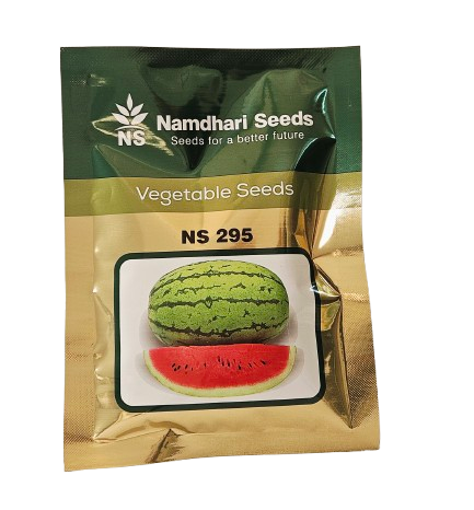 Buy Watermelon NS-295 Seeds Online in India – Dhartibeej
