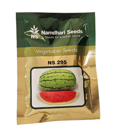 Buy Watermelon NS-295 Seeds Online in India – Dhartibeej
