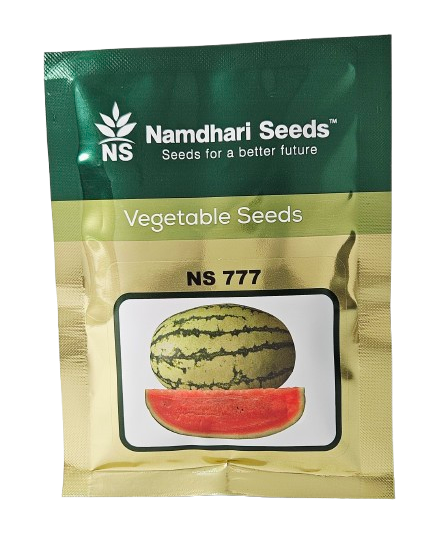 Buy Watermelon NS 777 Seeds Online in India – Dhartibeej
