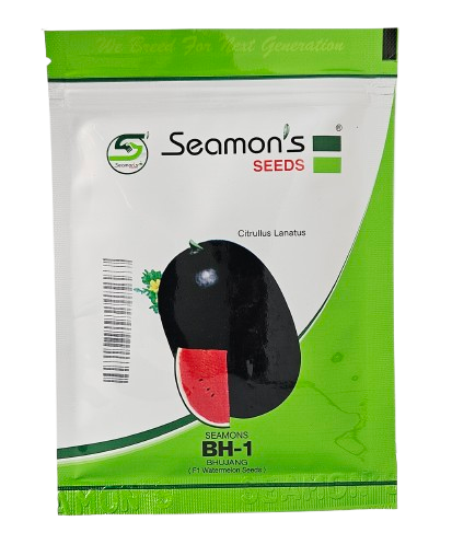 Buy Watermelon Seamons Bh-1 Bhujang Seeds Online in India – Dhartibeej
