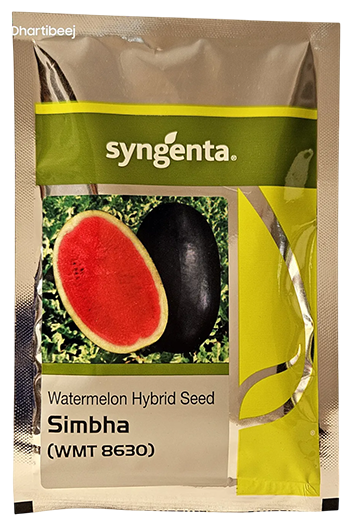 Buy Watermelon Syn Simbha Seeds Online in India – Dhartibeej