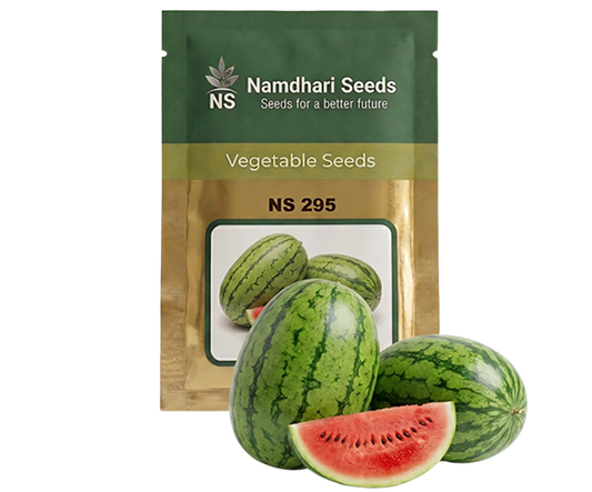 Watermelon NS-295 Seeds Online | Dhartibeej