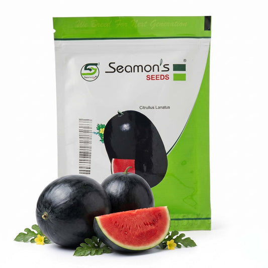 Watermelon Seamons Bh-1 Bhujang Seeds Online | Dhartibeej