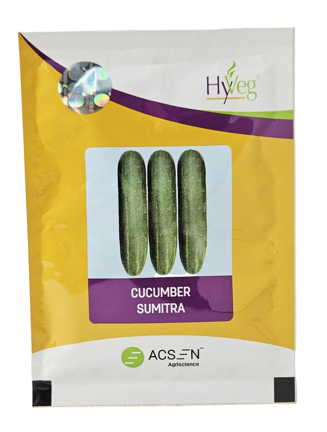 Cucumber Sumitra