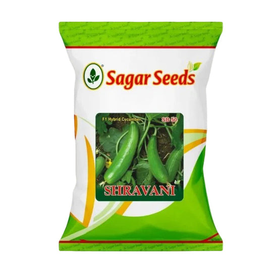 Cucumber Sagar Shravani Seeds Online in India | Dhartibeej
