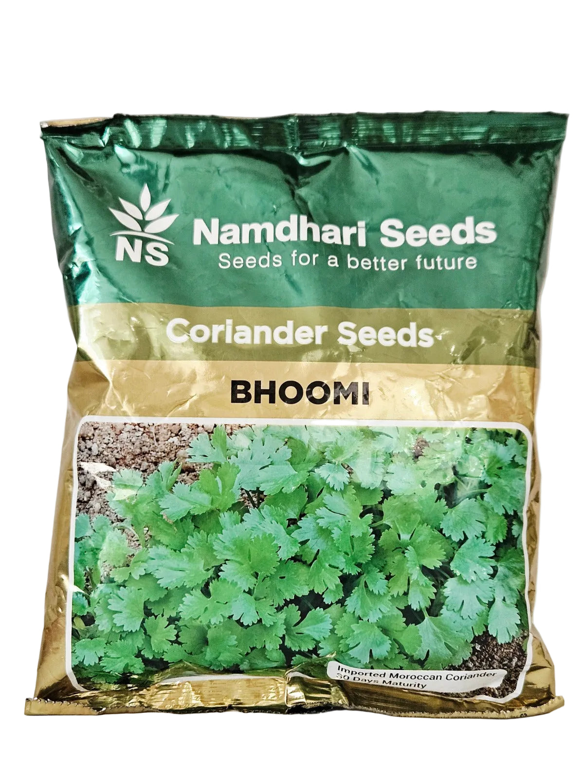 Coriander Ns Bhoomi