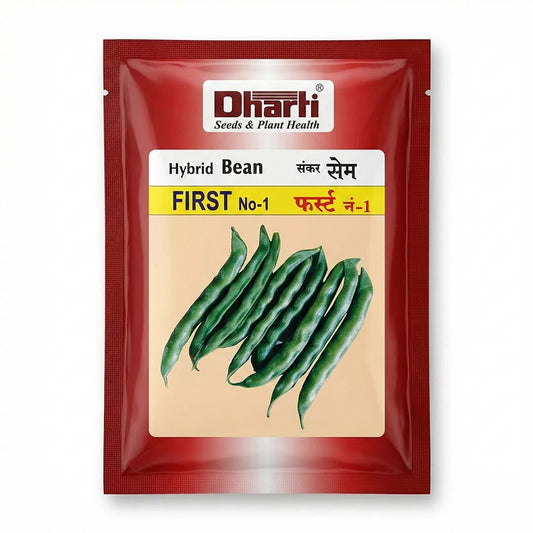 Beans Dharti First Seeds for High Yield Farming | Dhartibeej

