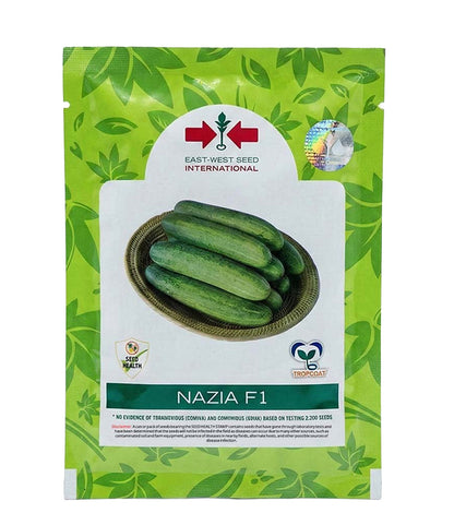 Cucumber East West Nazia F1 Seeds for High Yield Farming | Dhartibeej
