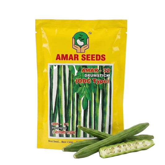 Drumstick Amar 32 Odc Type Seeds Online | Dhartibeej