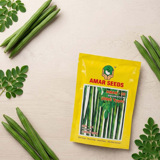 Drumstick Amar 32 Odc Type Seeds Online | Dhartibeej