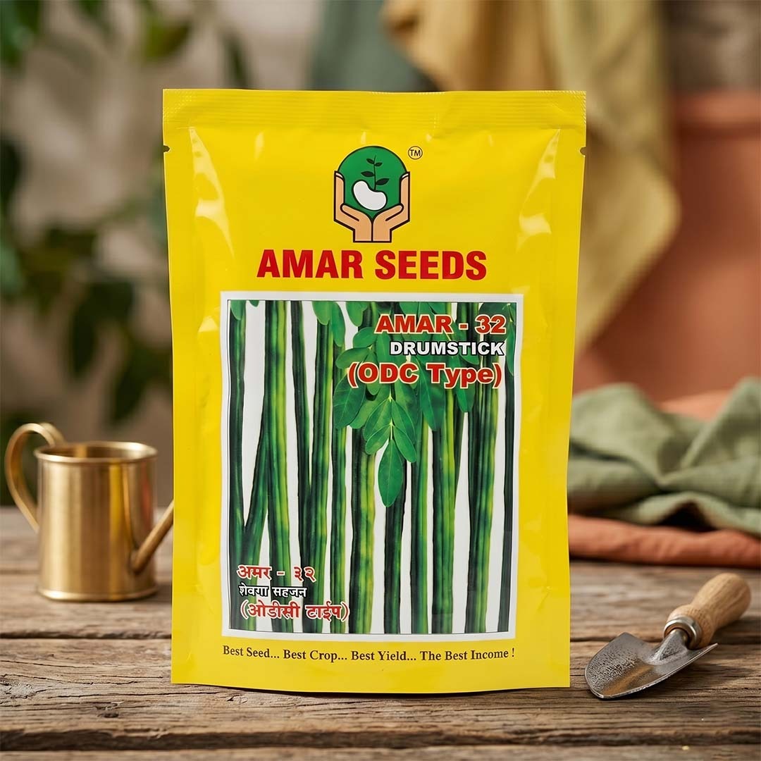 Drumstick Amar 32 Odc Type Seeds Online | Dhartibeej