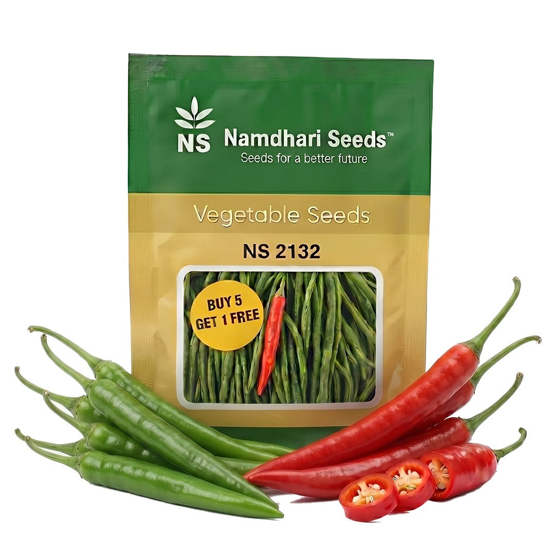 Chilli Ns 2132