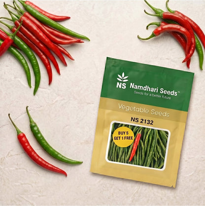 Buy Chilli Ns 2132 Seeds Online | Dhartibeej