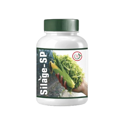 Buy Silage SP Fertilizer Online in India – Dhartibeej
