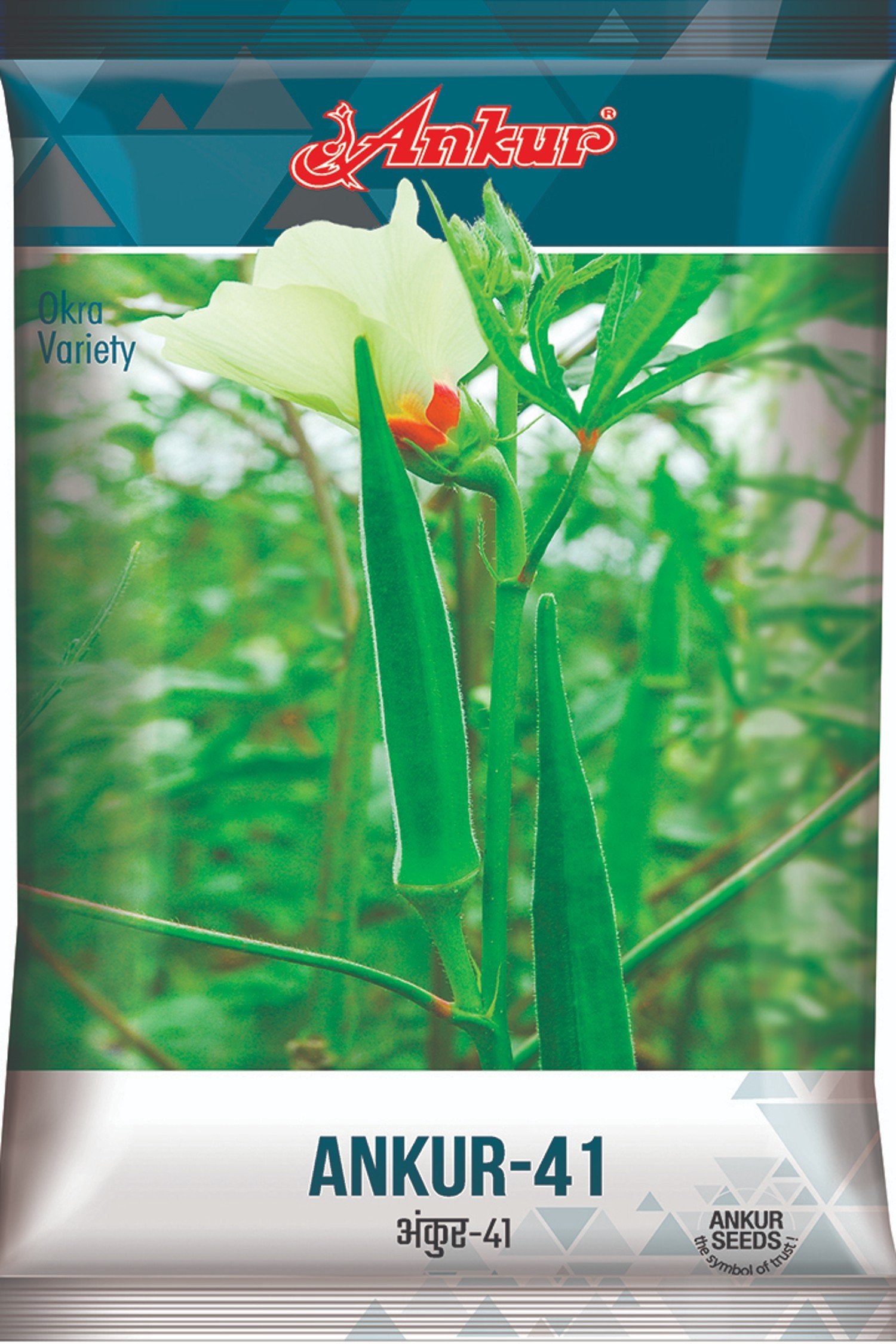 Bhendi Ankur 41 Seeds Online India – Dhartibeej
