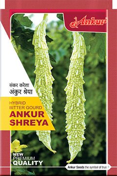 Buy Bitter Gourd Ankur Shreya Seeds Online in India – Dhartibeej

