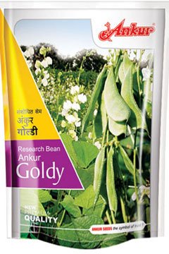 Buy Beans Ankur Goldy Seeds Online in India – Dhartibeej
