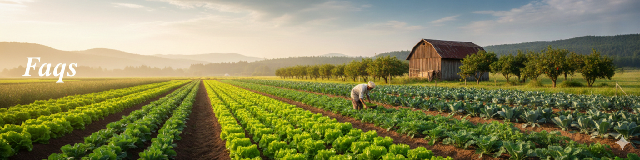Farmer working in a field with rows of crops and a barn in the background.
