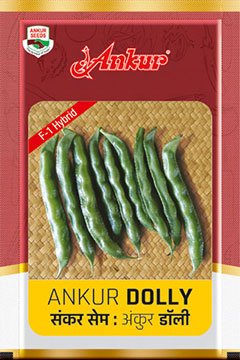 Buy Beans Ankur Dolly Seeds Online in India – Dhartibeej
