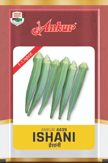 Buy Bhendi Ankur Ishani Seeds Online in India - Dhartibeej