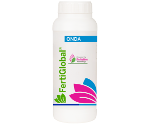Onda