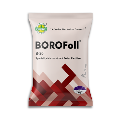 BOROFOLL : B 20 Mahafeed