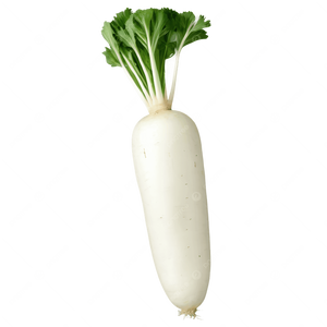 Radish