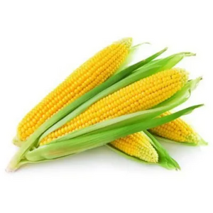 Sweetcorn