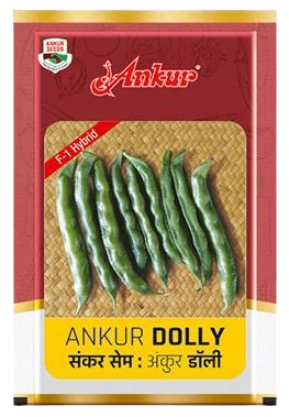 Beans Ankur Dolly