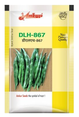 Beans Ankur DLH -867