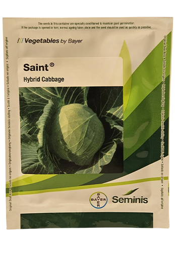 Cabbage Monsanto Saint