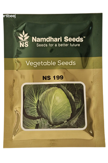 Cabbage Ns 199