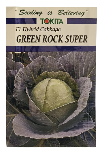 Cabbage Tokita Green Rock Super