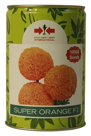 Marigold East West Super Orange