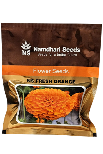 Marigold Ns Fresh Orange