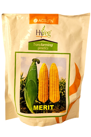 Sweet Corn Rasi Merit