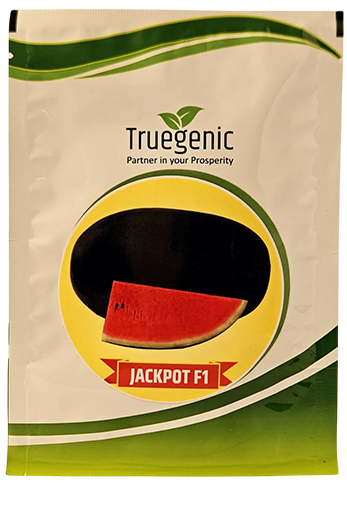Watermelon Truegenic Jackpot
